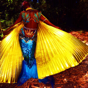 Egyptian Afro Fusion Belly Dance Performance