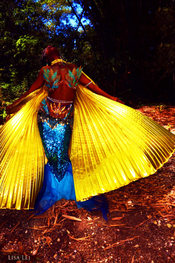 Egyptian Afro Fusion Belly Dance Performance