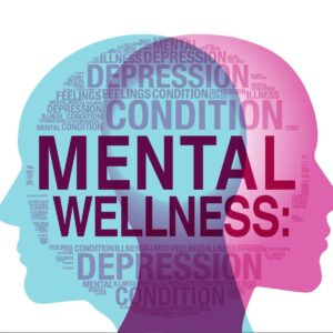 Holisitc Wellness Consultation (Online)
