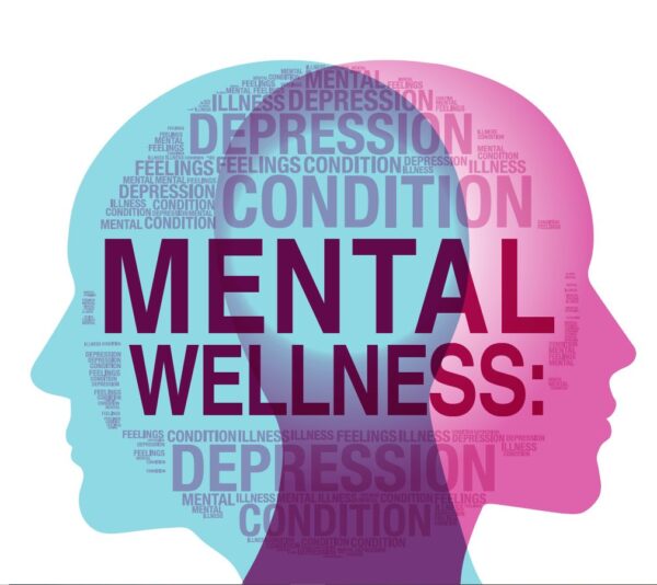 Holisitc Wellness Consultation (Online)