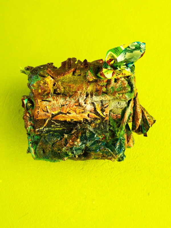 Gutted- Sustainable Art Exhibition: Recycle Art (Reiki Infused) Check-out - Image 40