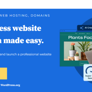 Website